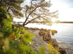 Dieholidaybucht