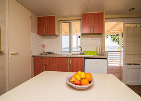 Mobile Home Frangipani