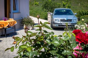 Guest House Davor Tomas