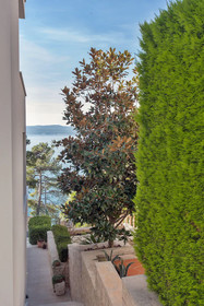 Villa Dalmatia Apartments