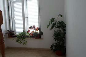 Pansion Lovac