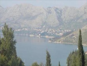 Red Coral Cavtat
