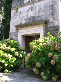 Supetar Cavtat
