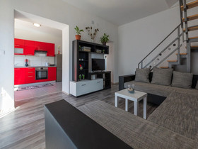 Apartment Iva Man
