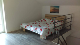 Apartment Iva Man