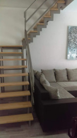 Apartment Iva Man