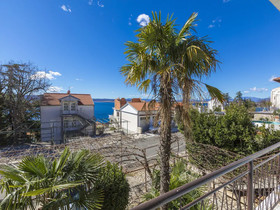 Apartments Alenka