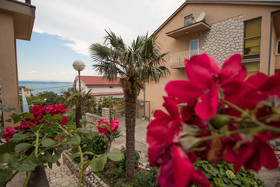 Apartments and Room Ružica