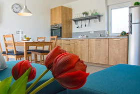 Apartments Bego