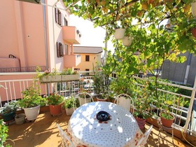 Apartments Feda