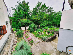 Apartments Ratko