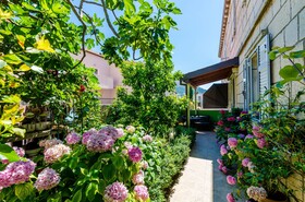 Apartments & Room Frane