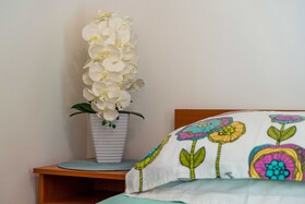 Apartments & Room Frane
