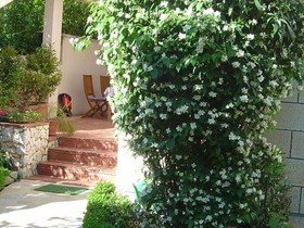 Apartments Dani