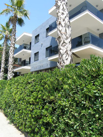 Apartments Mon Amour