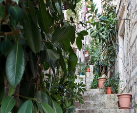 Apartments Old Town Economy