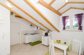 Apartments Pavle