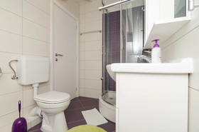 Apartments Pavle