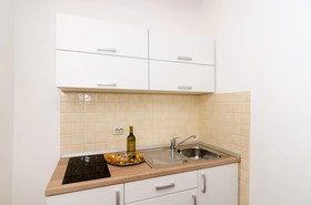 Apartments Raic