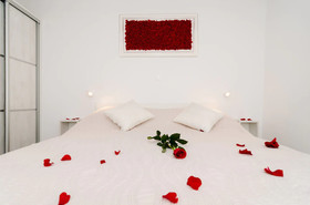 Apartments Raic
