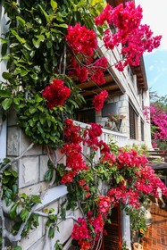 Guest House Sea Stone