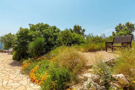 Hedera Estate House Hedera