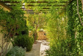 Hedera Estate House Hedera
