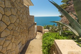Hedera Estate House Hedera IV