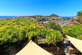 Hedera Estate Villa Hedera XII