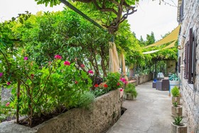 Hedera Estate Villa Hedera XII