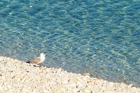 Hotel Vis