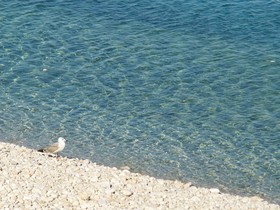 Hotel Vis