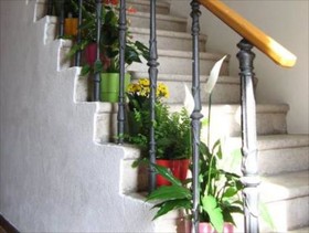 House Boninovo