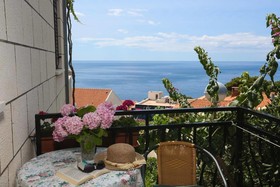 House Cvetka
