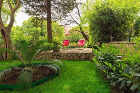 Leona & Borna's Central Lapad Suites