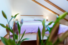 Rooms Raic