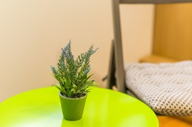 The Point Room