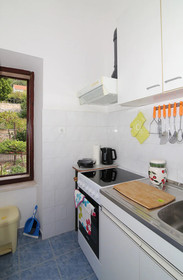 Vicina Summer Apartments