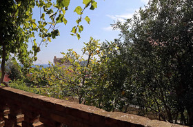 Vicina Summer Apartments