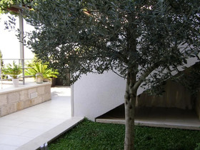 Villa King