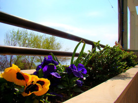 Apartments Anka