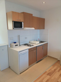 Apartments Slava