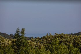 Hedera Estate Villa Hedera IX