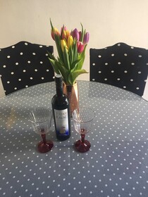 Apartments Roko