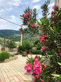 Apartments Mirela