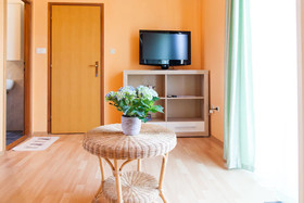 Apartments Danja