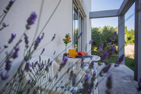 Apartments Enelani