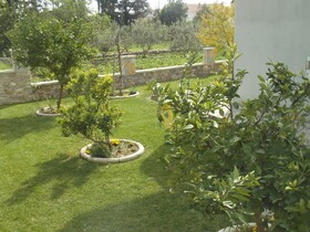 Apartments Ivica