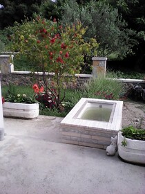Apartments Ivica