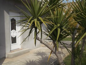 Apartments Ivica